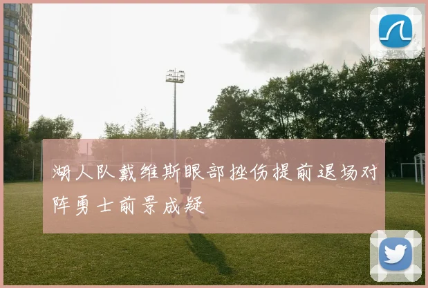 湖人队戴维斯眼部挫伤提前退场对阵勇士前景成疑